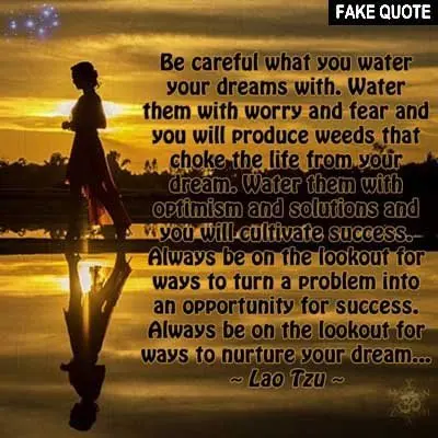 Fake Lao Tzu quote: Be careful what you water your dreams with...