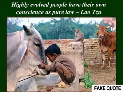 Fake Lao Tzu quote: Highly evolved people have their own conscience as pure law.