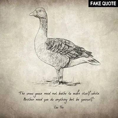 Fake Lao Tzu quote: The snow goose need not bathe to make itself white...