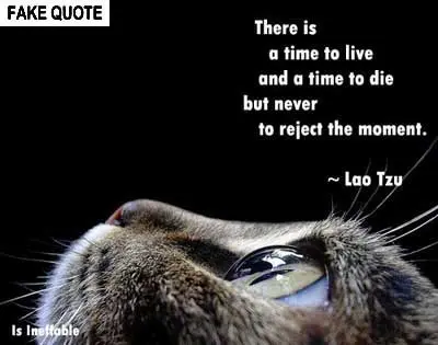 Fake Lao Tzu quote: There is a time to live and a time to die...